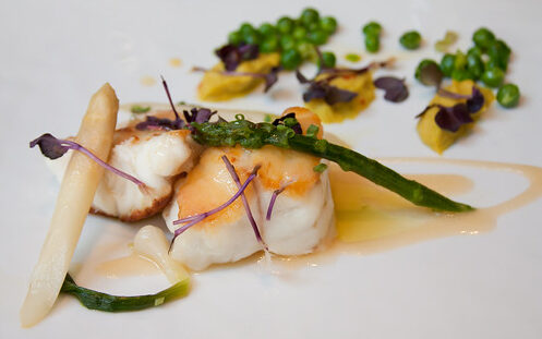 Monkfish Marvel